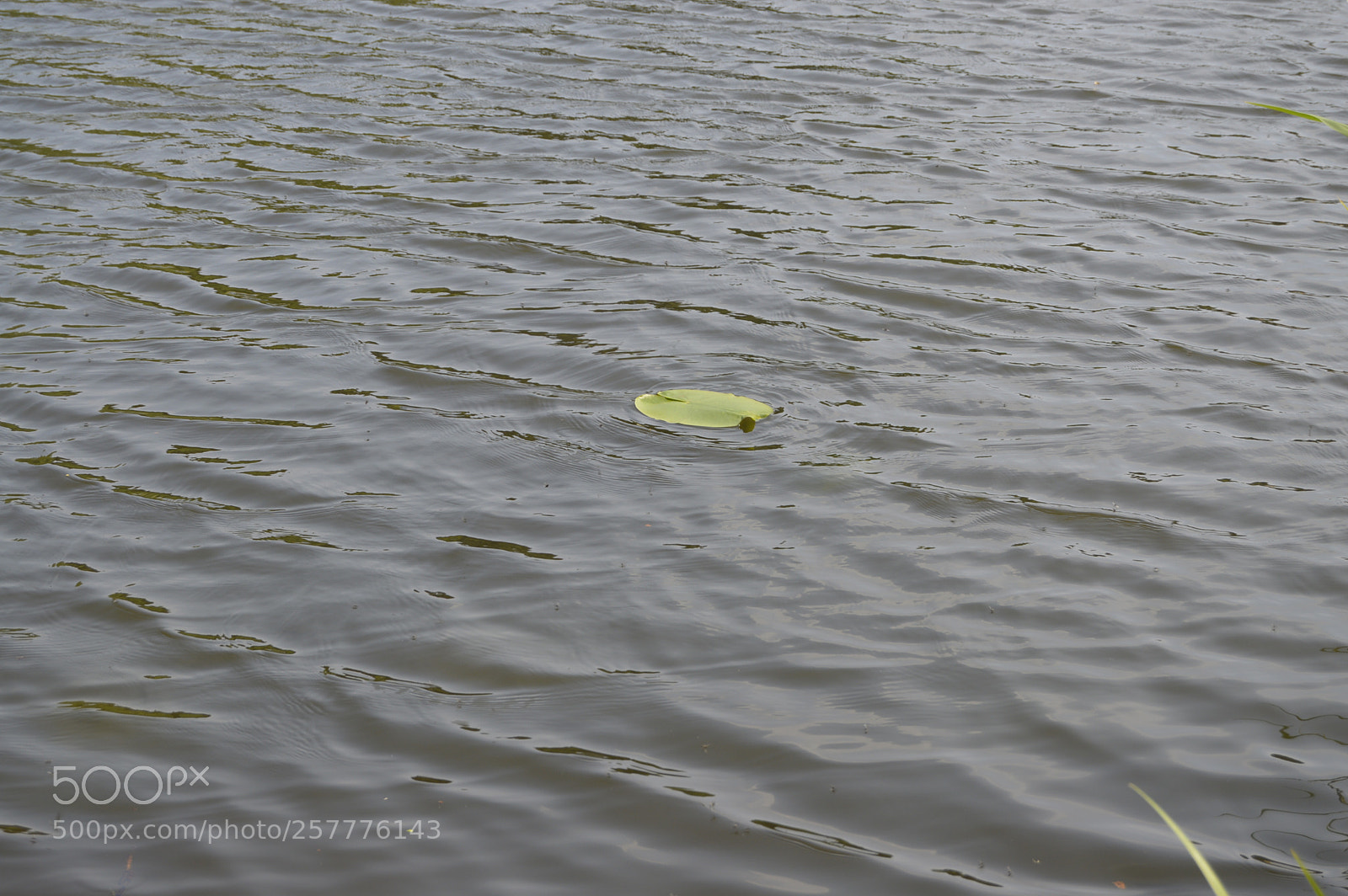 Nikon D3200 sample photo. Put & take photography