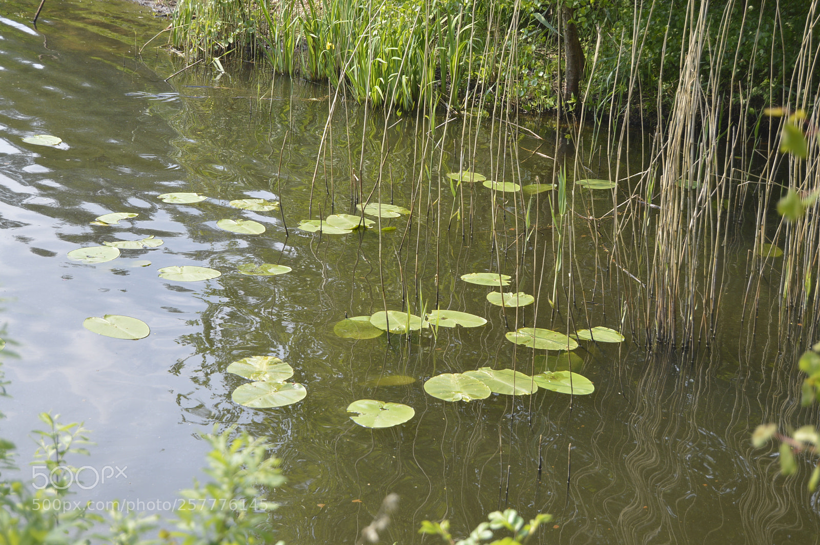 Nikon D3200 sample photo. Put & take photography