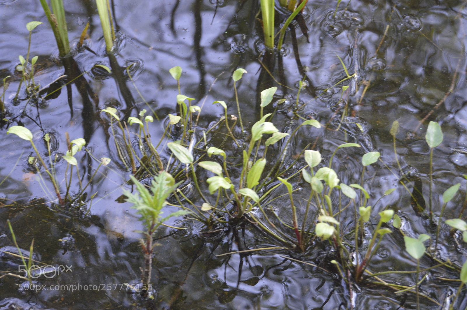 Nikon D3200 sample photo. Put & take photography