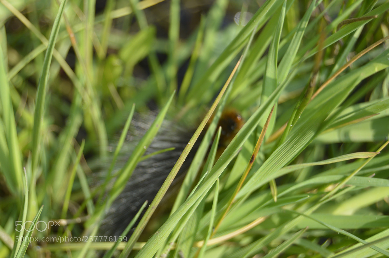 Nikon D3200 sample photo. Put & take photography