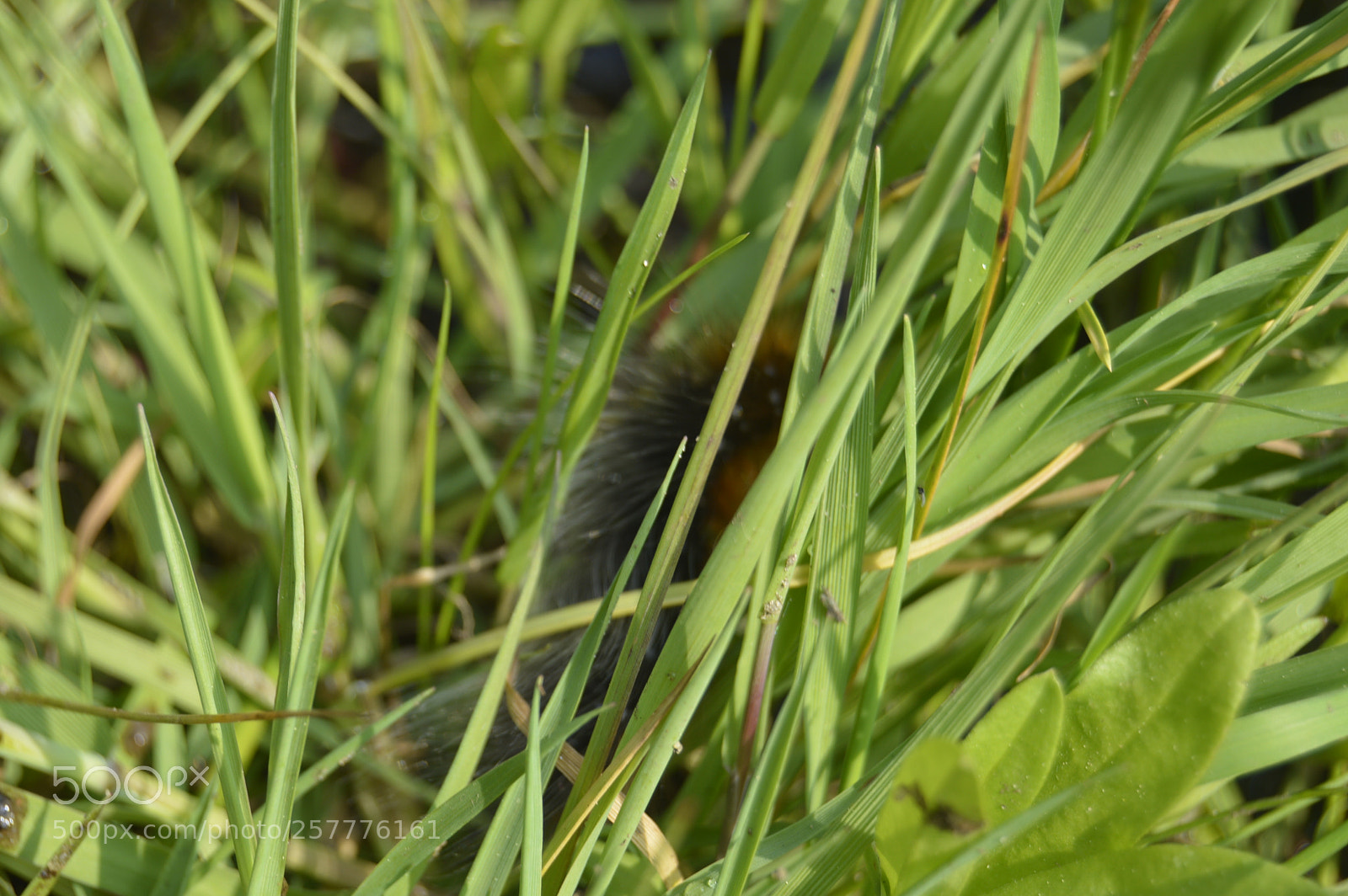 Nikon D3200 sample photo. Put & take photography