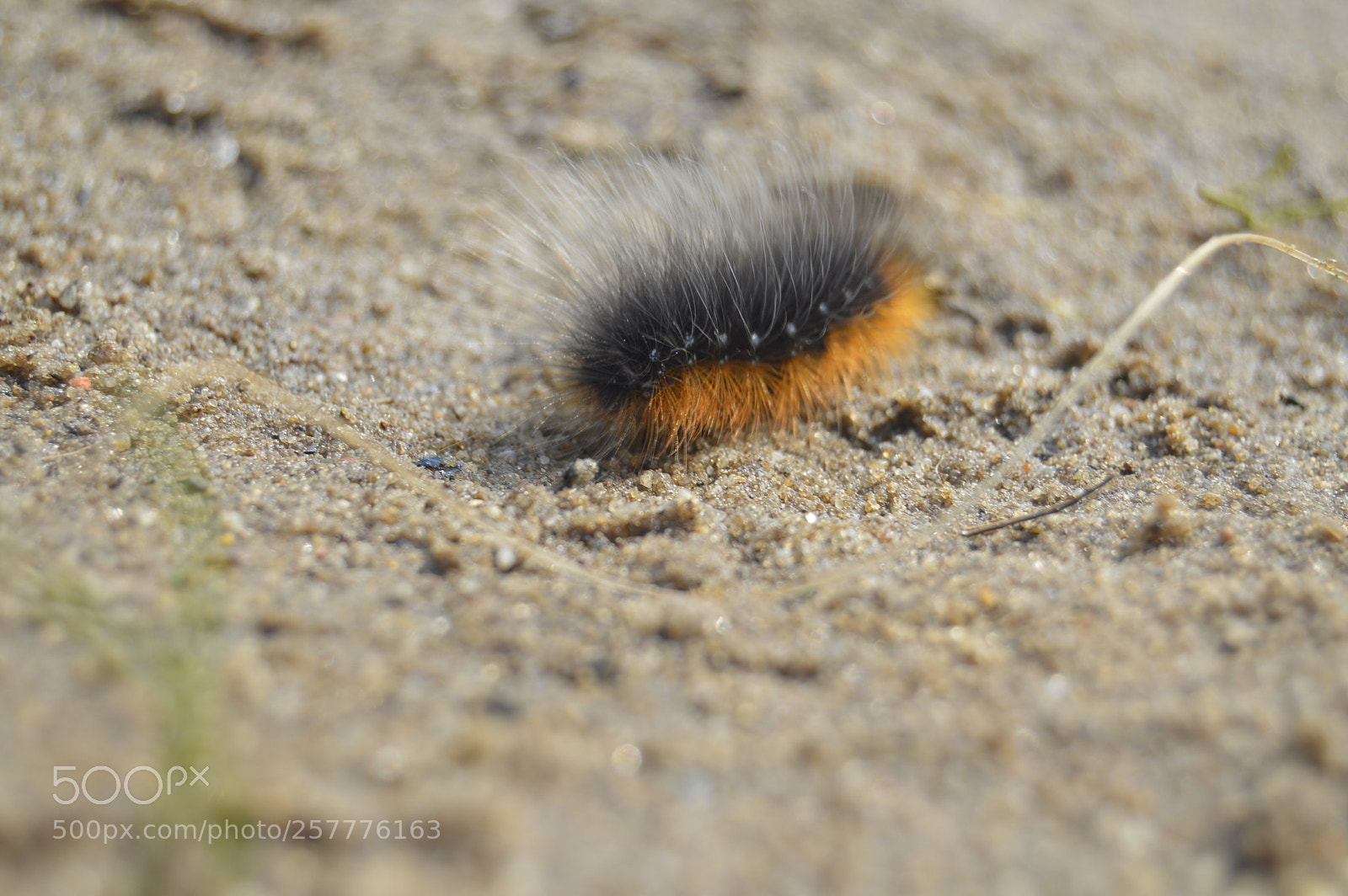 Nikon D3200 sample photo. Put & take photography