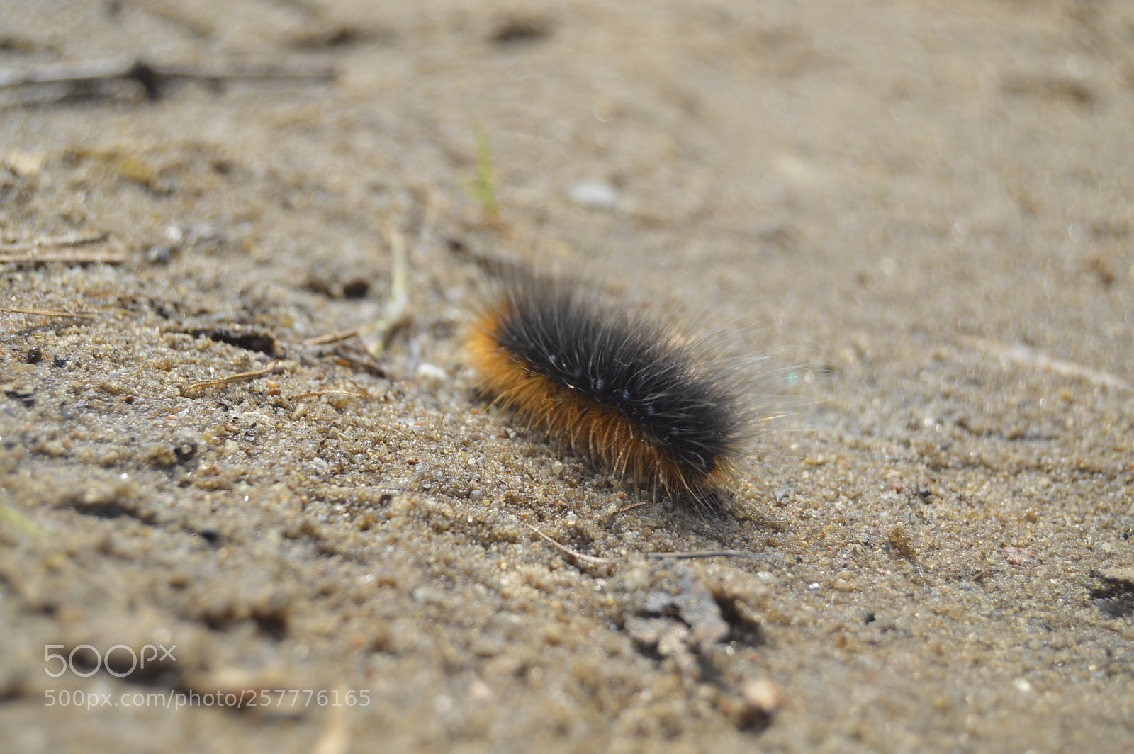 Nikon D3200 sample photo. Put & take photography