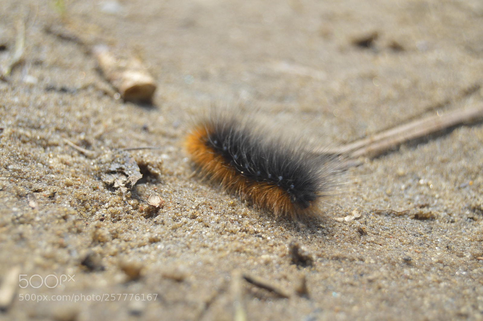 Nikon D3200 sample photo. Put & take photography