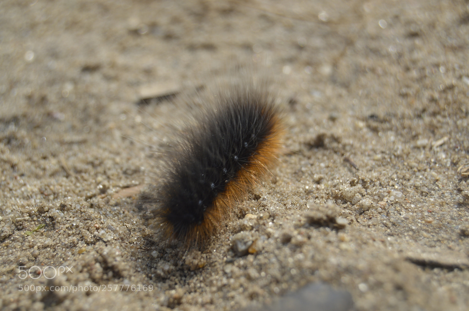 Nikon D3200 sample photo. Put & take photography