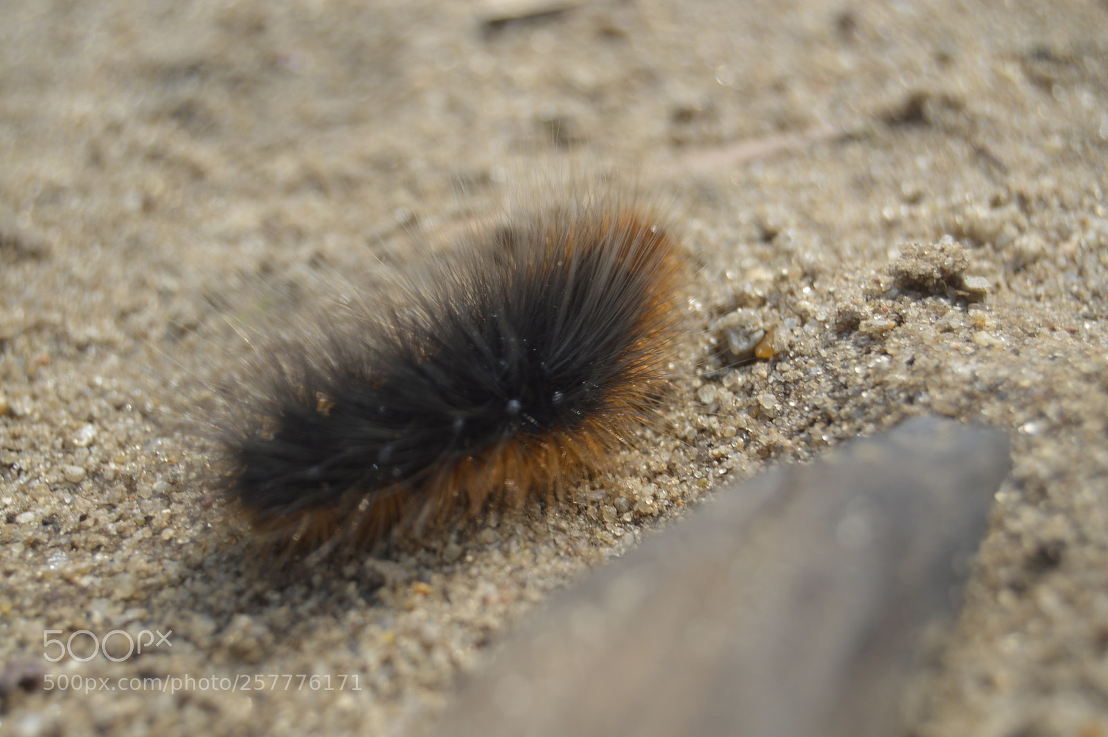 Nikon D3200 sample photo. Put & take photography