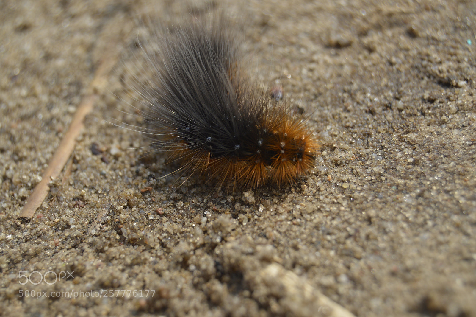 Nikon D3200 sample photo. Put & take photography
