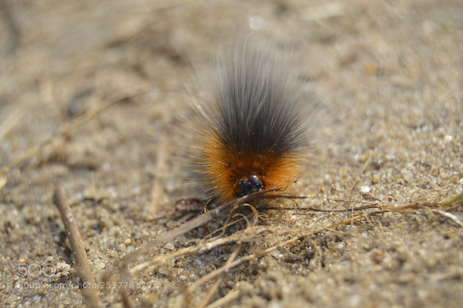 Nikon D3200 sample photo. Put & take photography