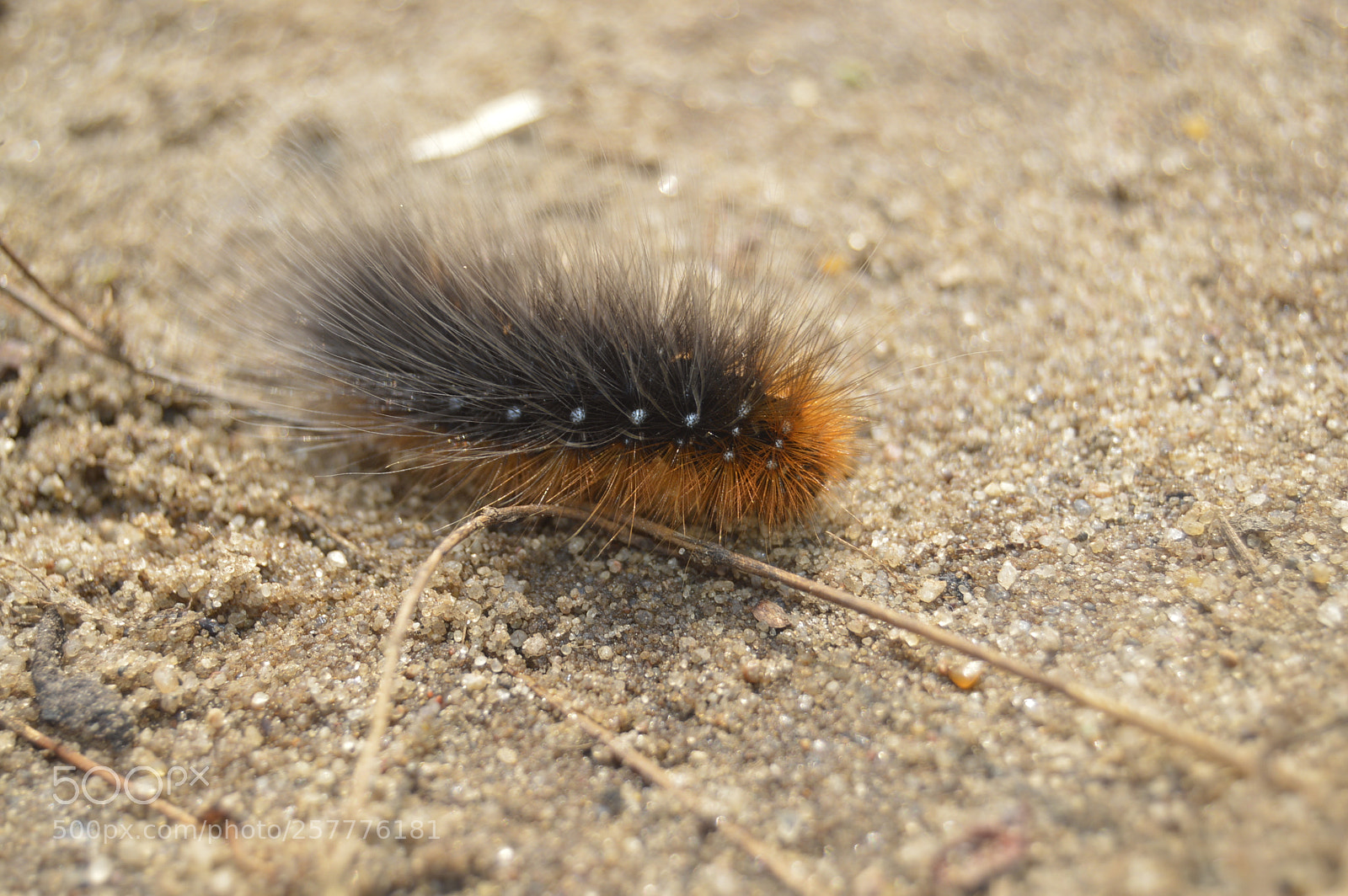 Nikon D3200 sample photo. Put & take photography