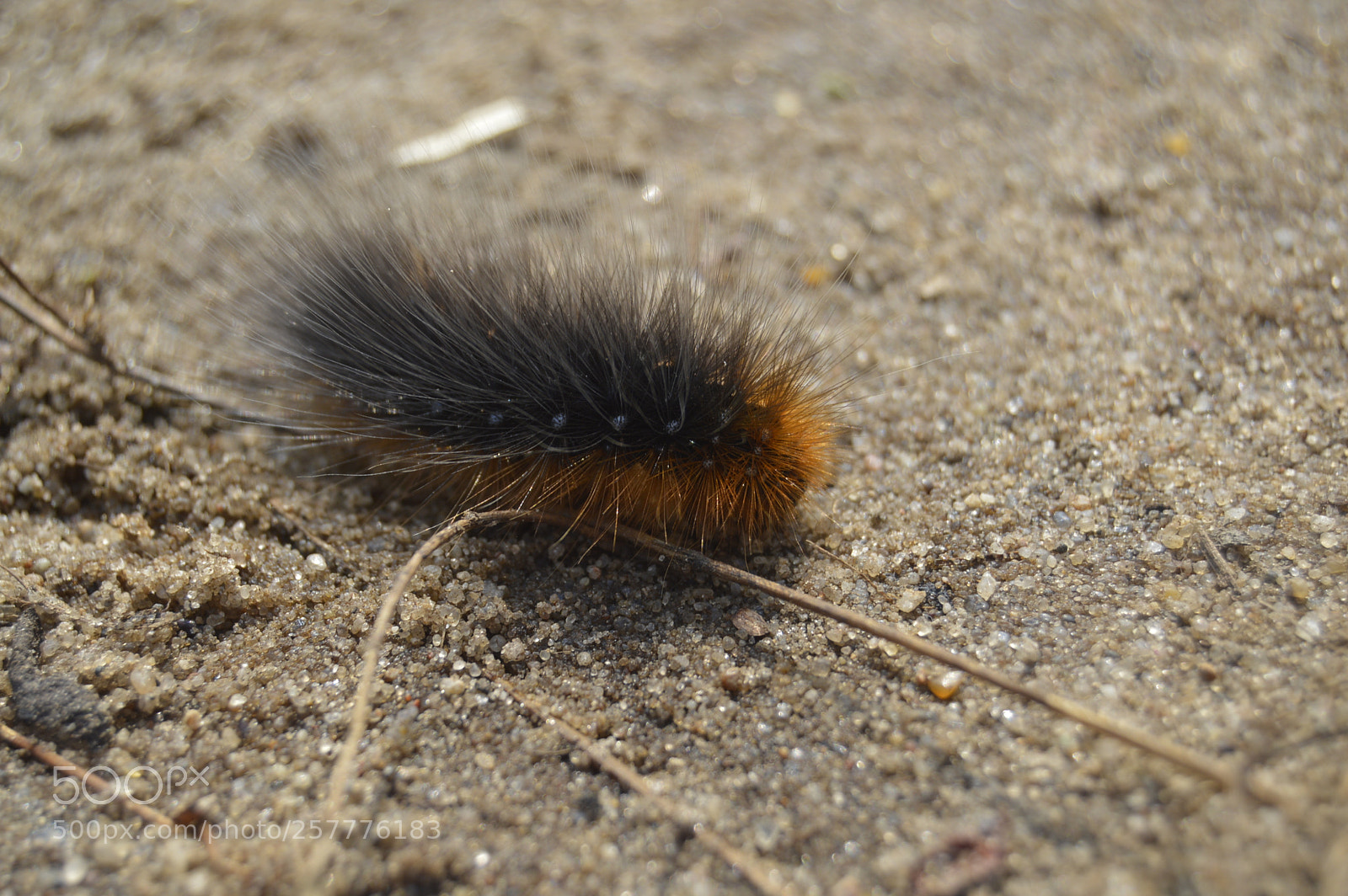 Nikon D3200 sample photo. Put & take photography