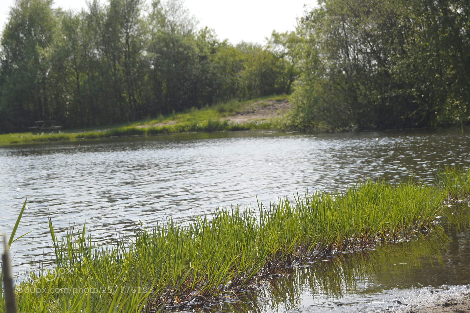 Nikon D3200 sample photo. Put & take photography