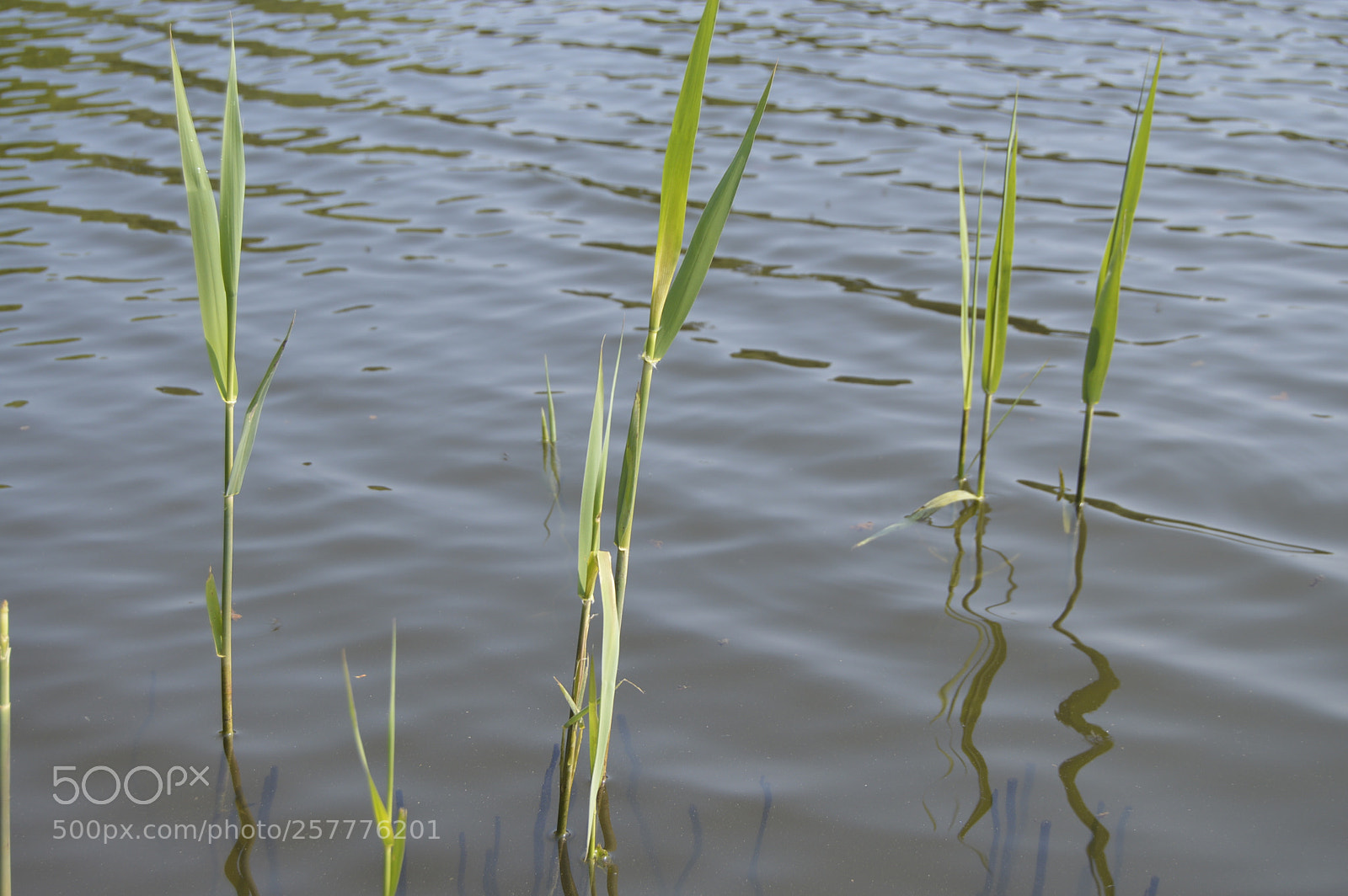 Nikon D3200 sample photo. Put & take photography