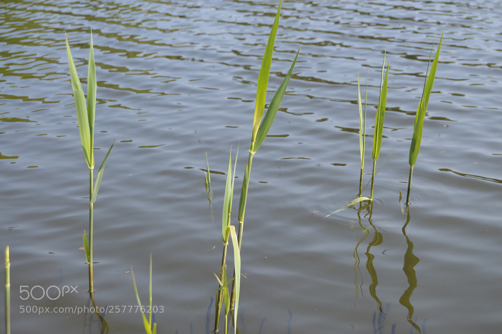Nikon D3200 sample photo. Put & take photography