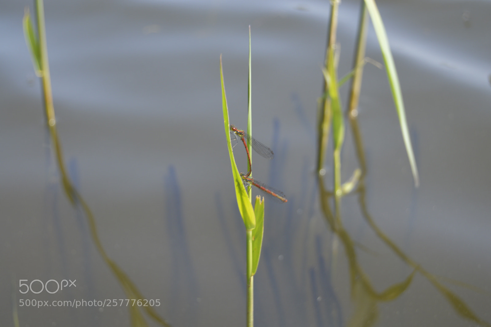 Nikon D3200 sample photo. Put & take photography