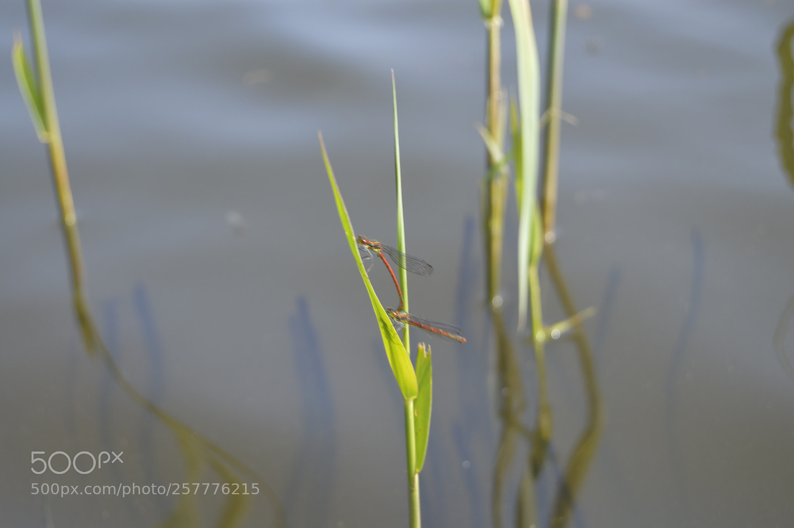 Nikon D3200 sample photo. Put & take photography