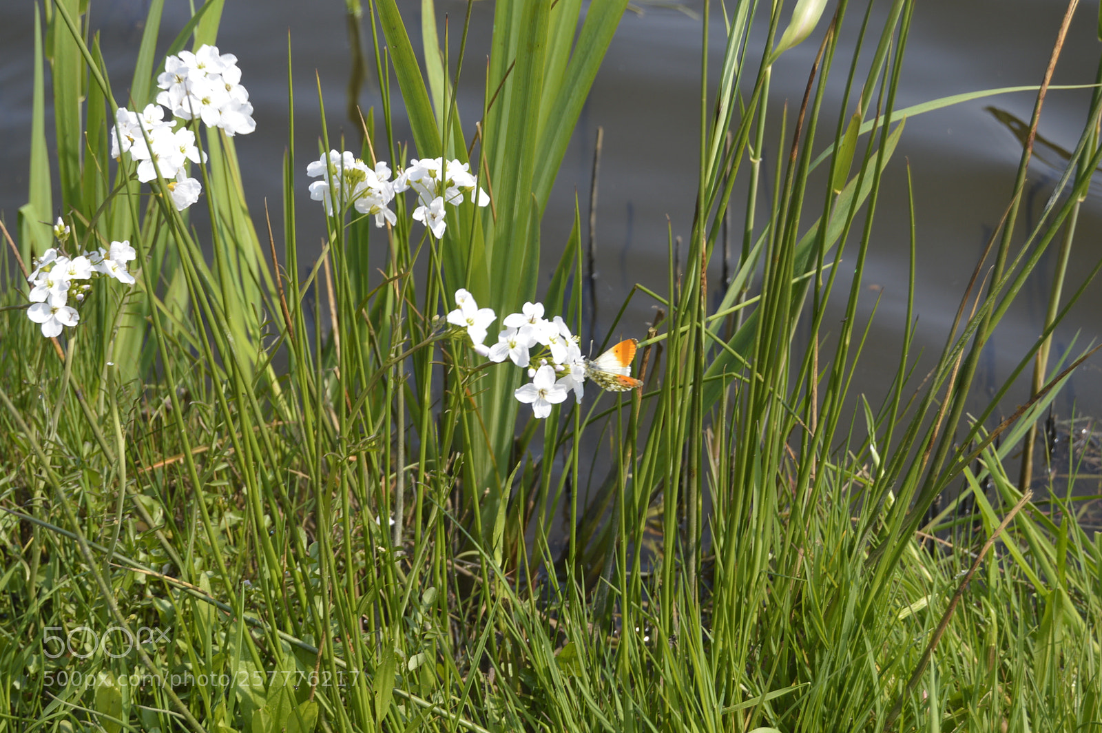 Nikon D3200 sample photo. Put & take photography