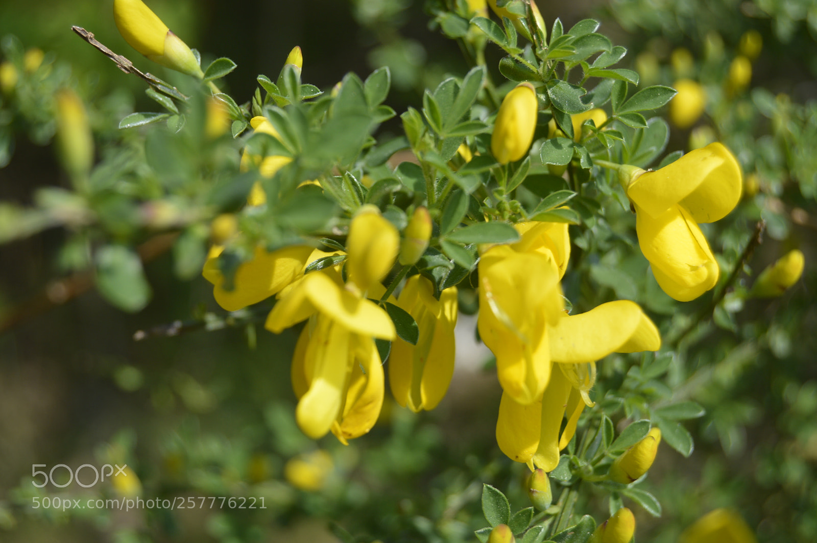 Nikon D3200 sample photo. Put & take photography