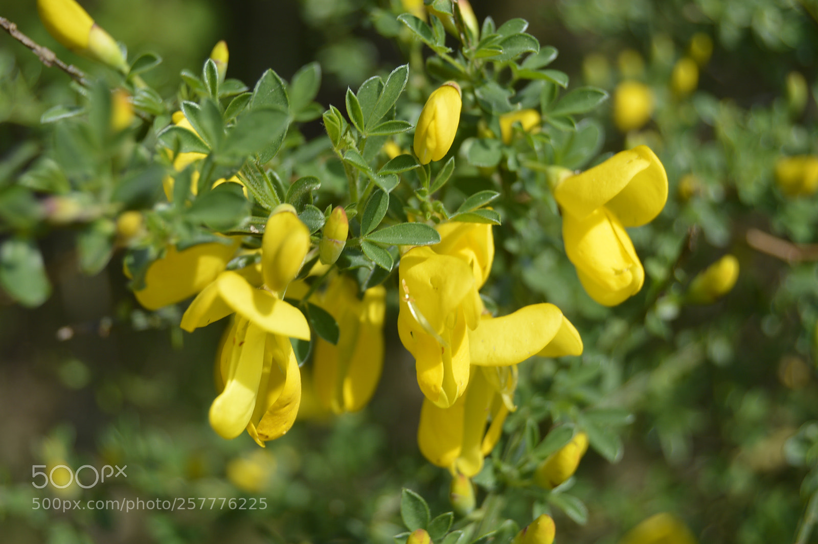Nikon D3200 sample photo. Put & take photography