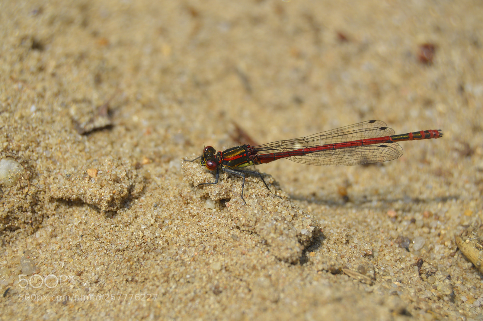 Nikon D3200 sample photo. Put & take photography