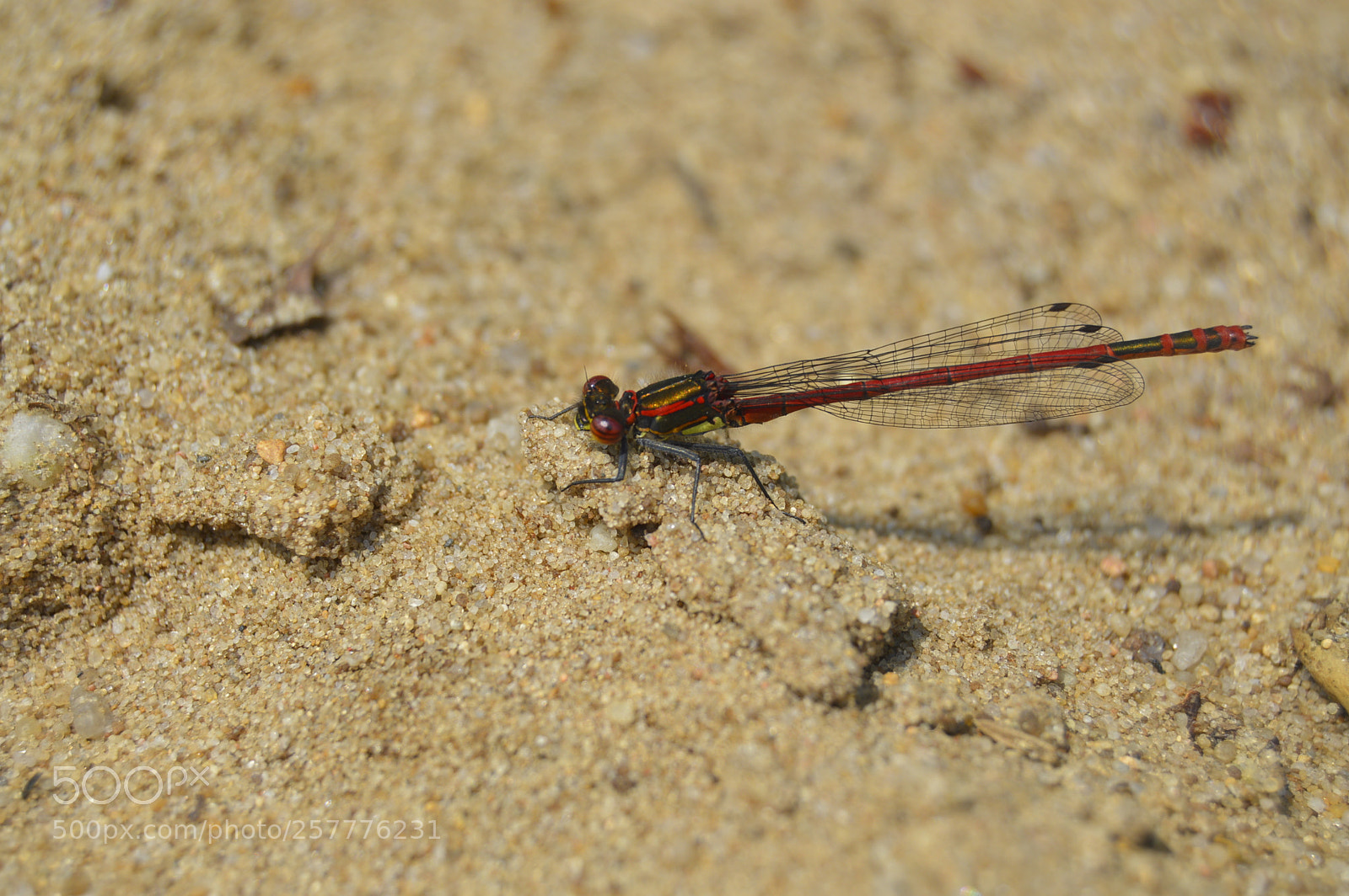 Nikon D3200 sample photo. Put & take photography