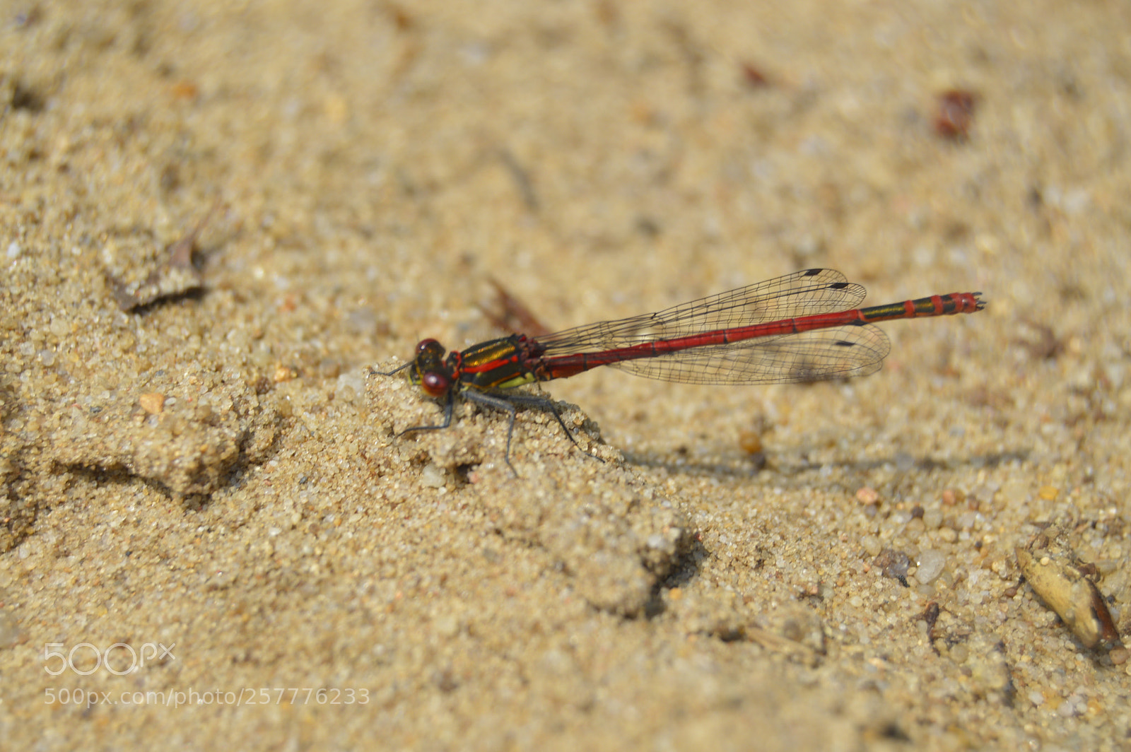 Nikon D3200 sample photo. Put & take photography