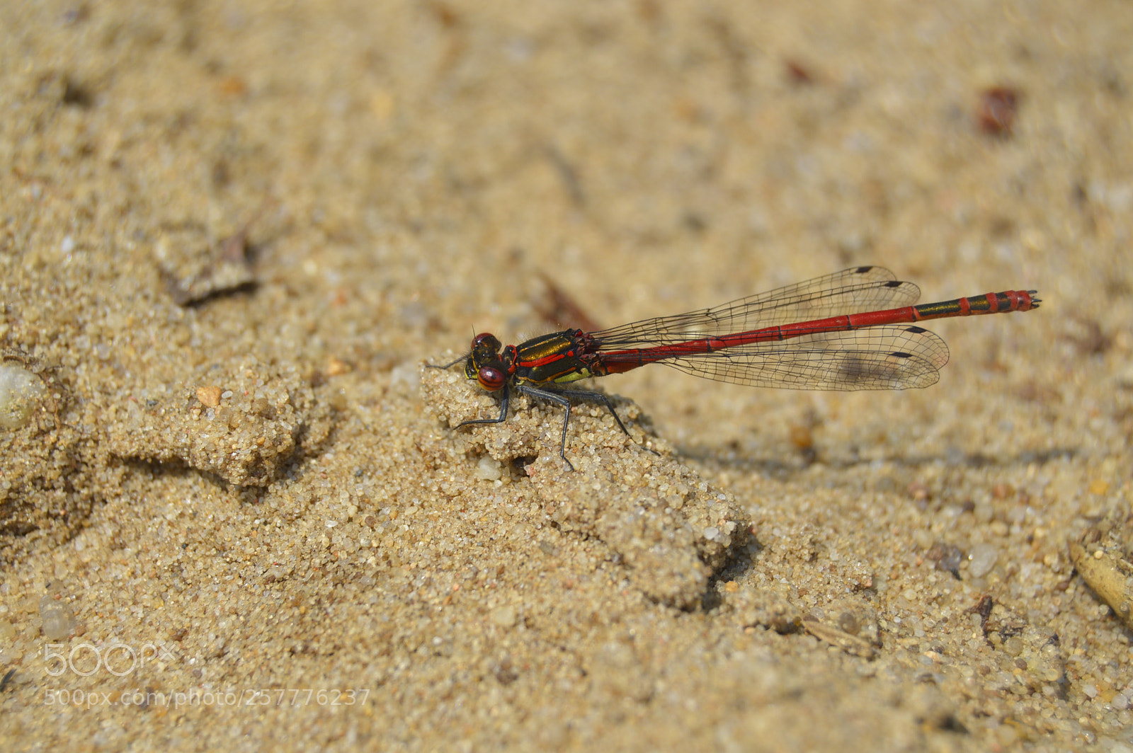 Nikon D3200 sample photo. Put & take photography