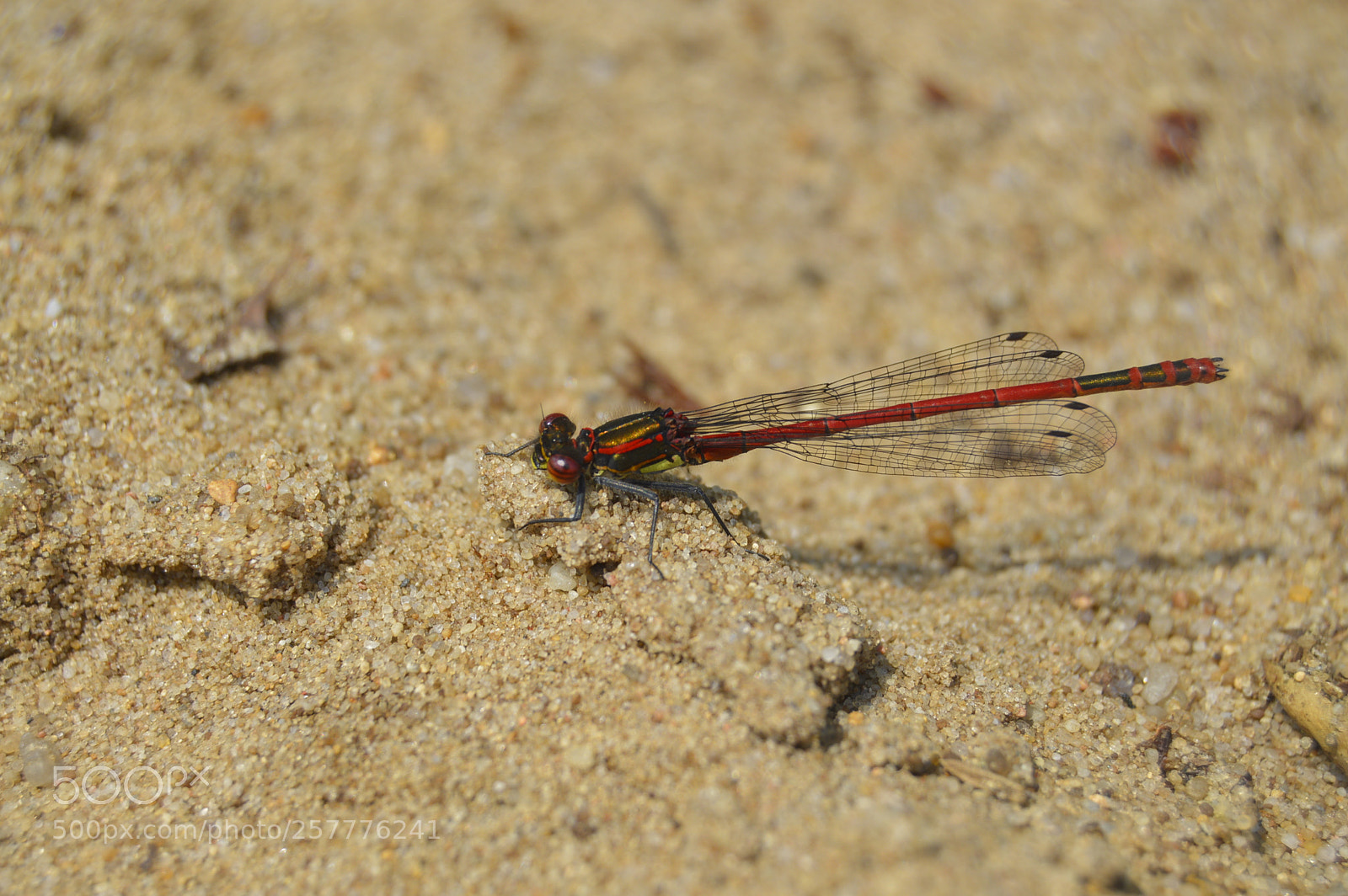 Nikon D3200 sample photo. Put & take photography