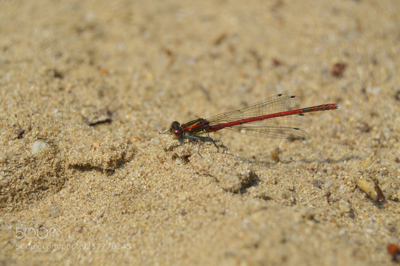 Nikon D3200 sample photo. Put & take photography