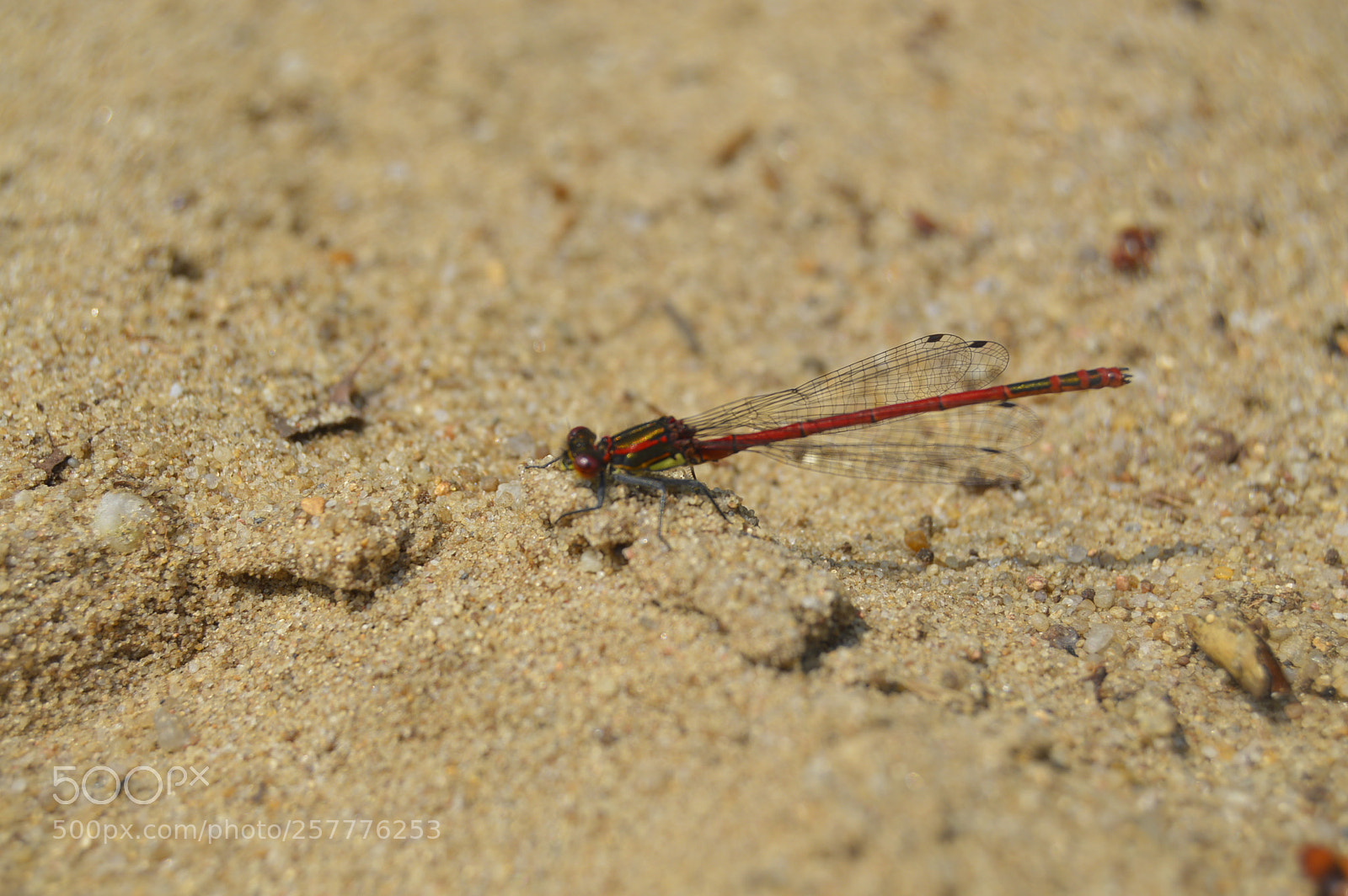 Nikon D3200 sample photo. Put & take photography