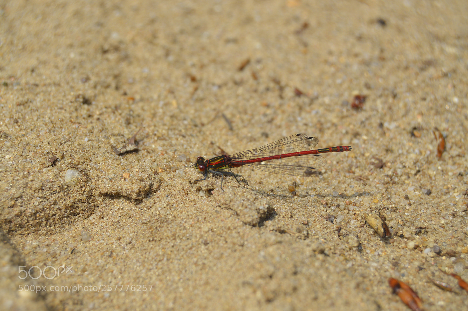 Nikon D3200 sample photo. Put & take photography