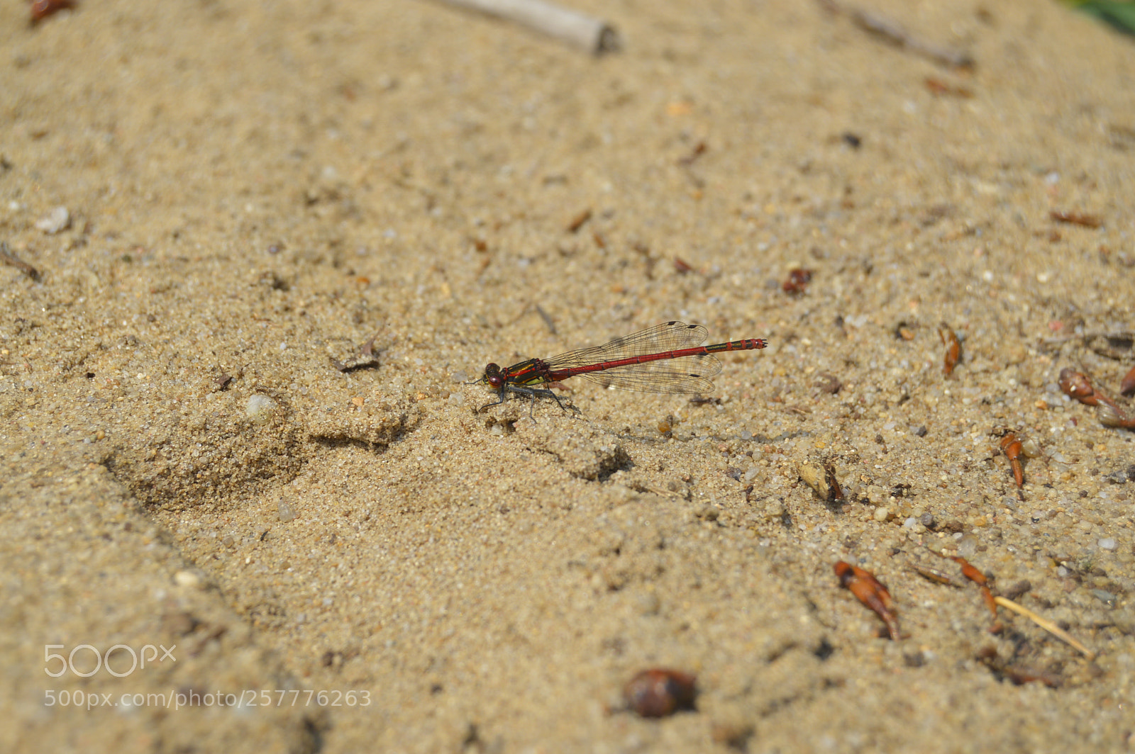 Nikon D3200 sample photo. Put & take photography