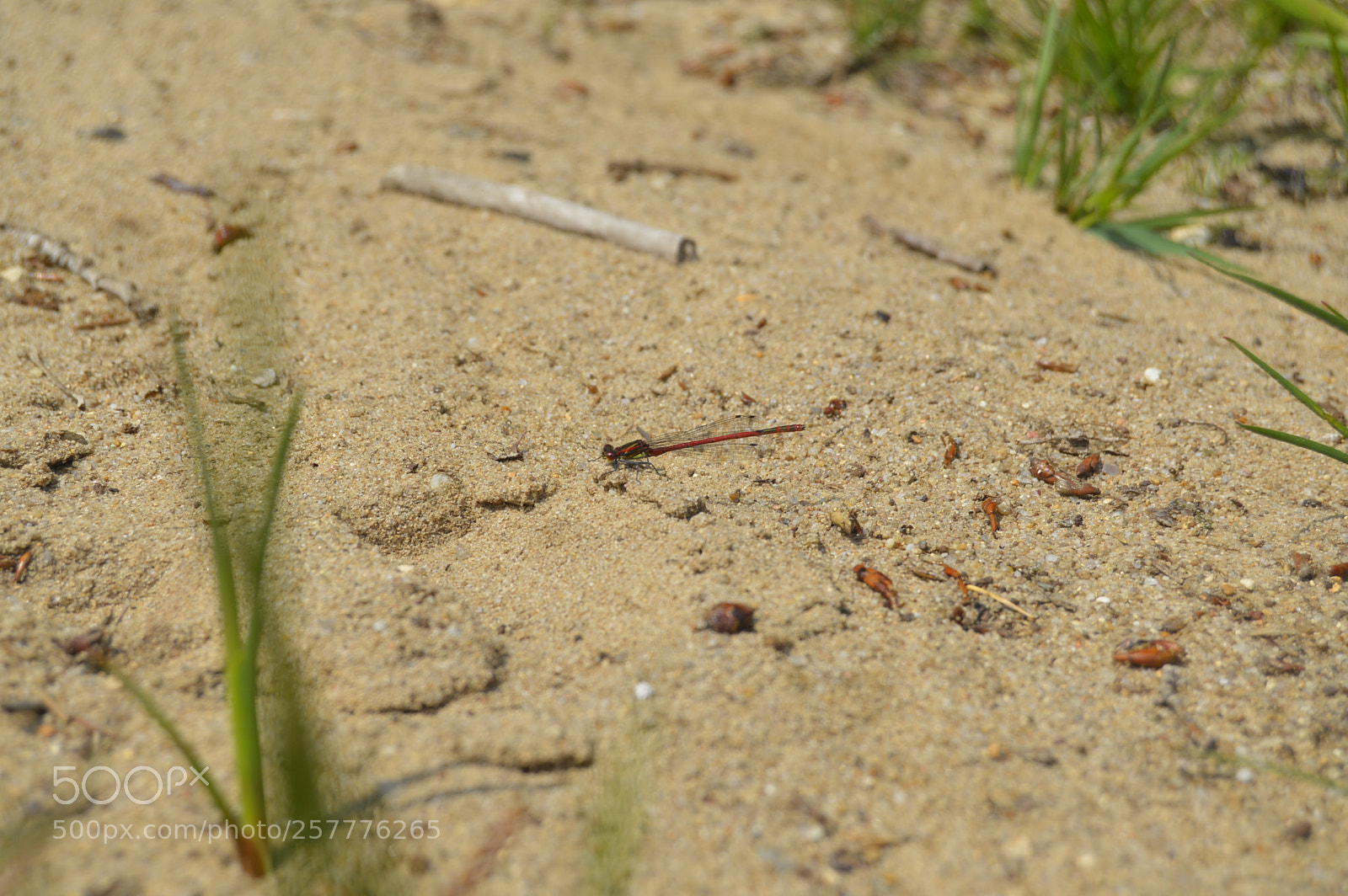 Nikon D3200 sample photo. Put & take photography