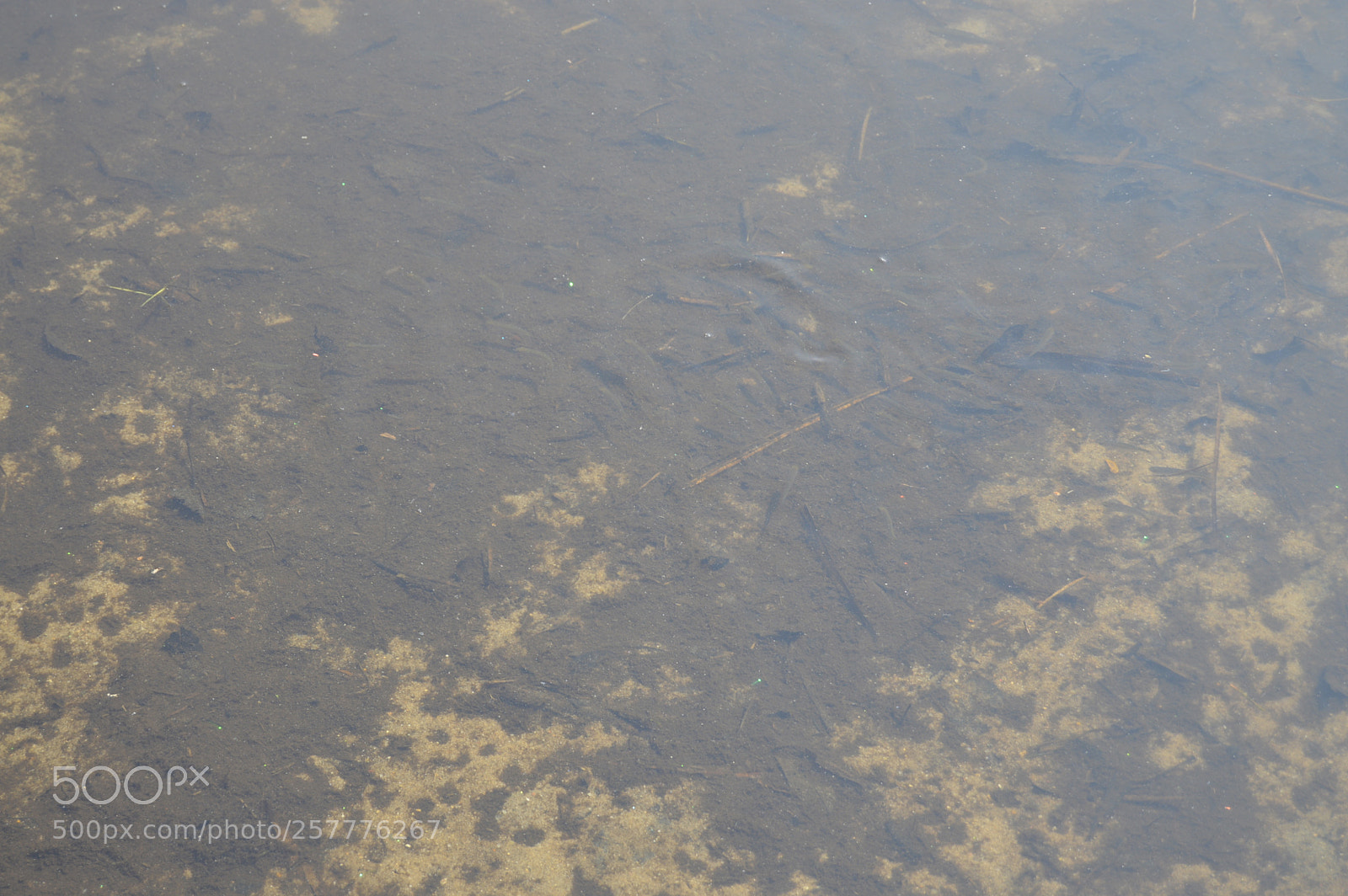 Nikon D3200 sample photo. Put & take photography