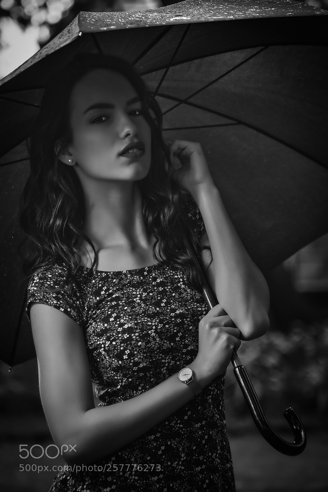 Nikon D800E sample photo. Under the umbrella photography
