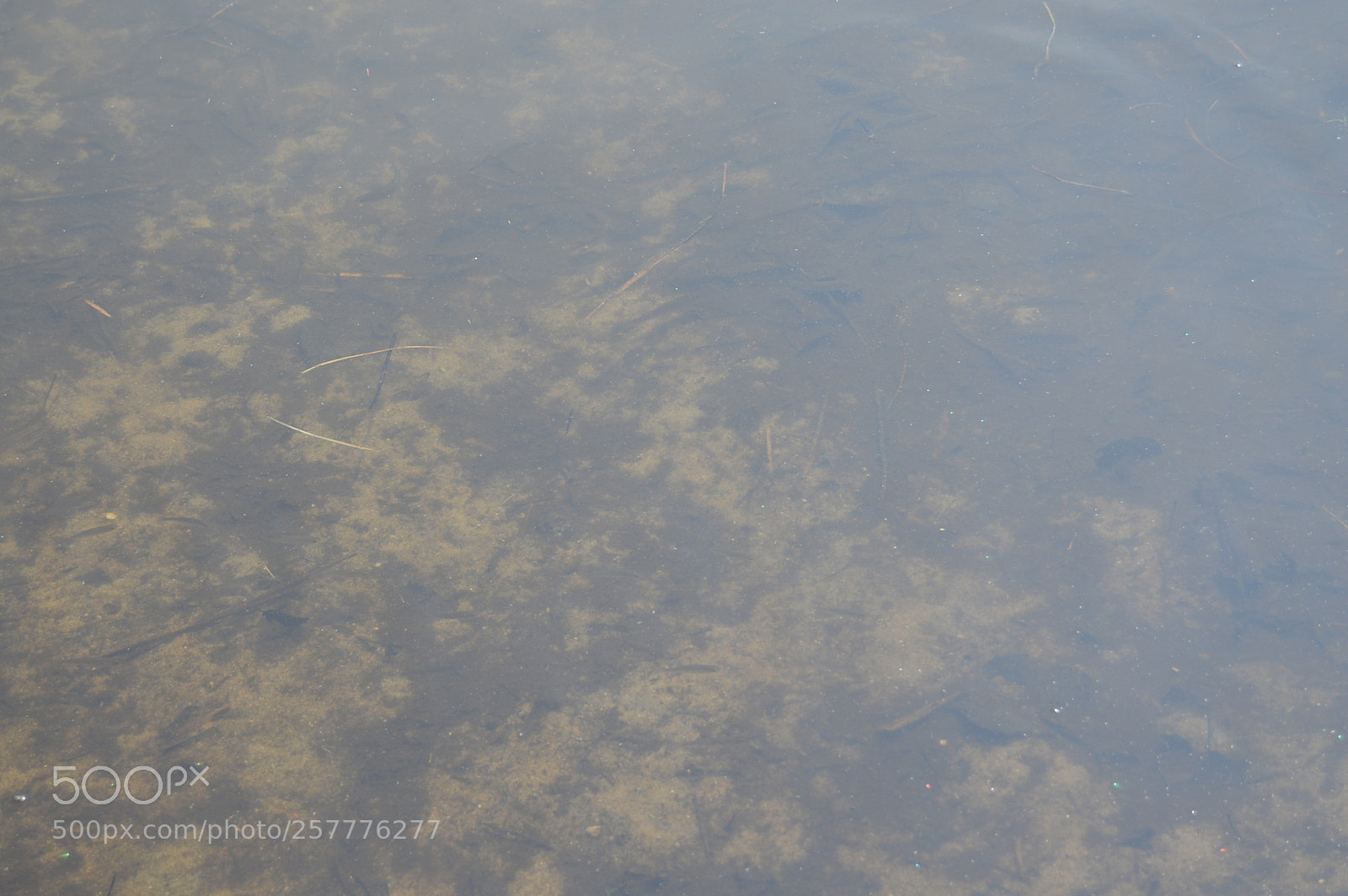 Nikon D3200 sample photo. Put & take photography
