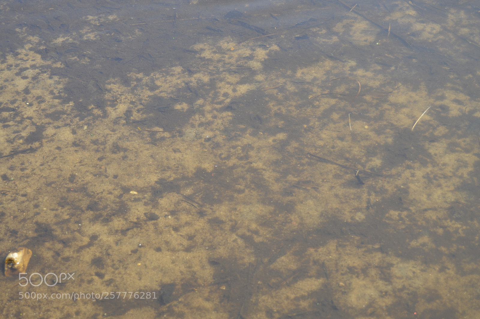 Nikon D3200 sample photo. Put & take photography