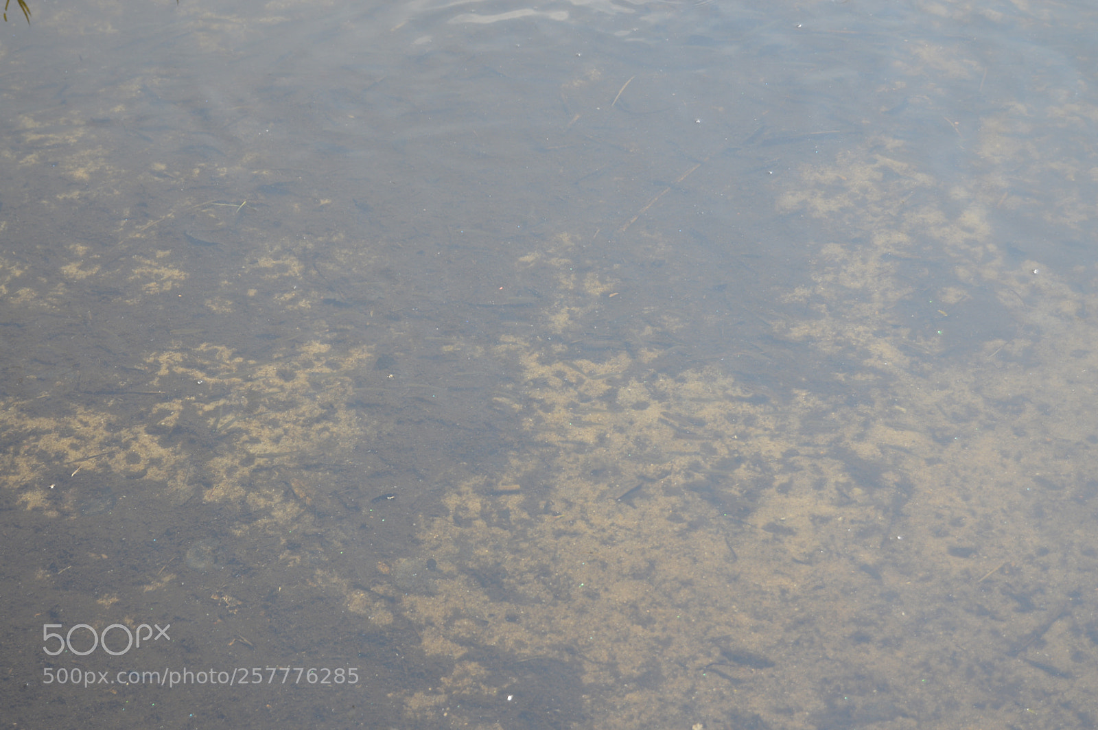 Nikon D3200 sample photo. Put & take photography