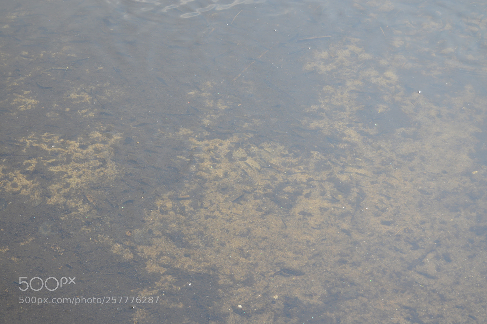 Nikon D3200 sample photo. Put & take photography