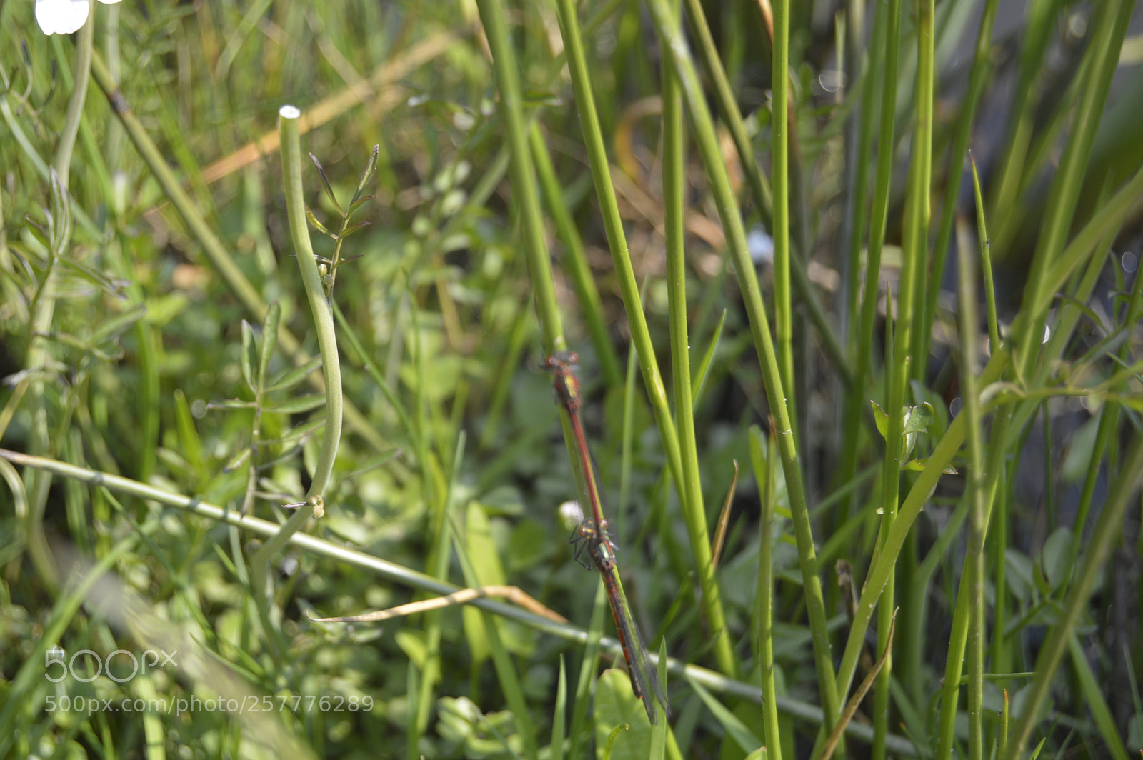 Nikon D3200 sample photo. Put & take photography