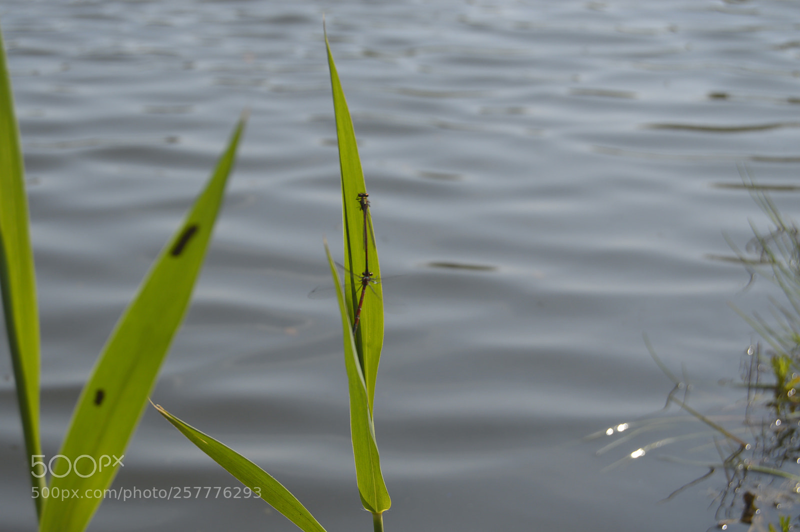 Nikon D3200 sample photo. Put & take photography
