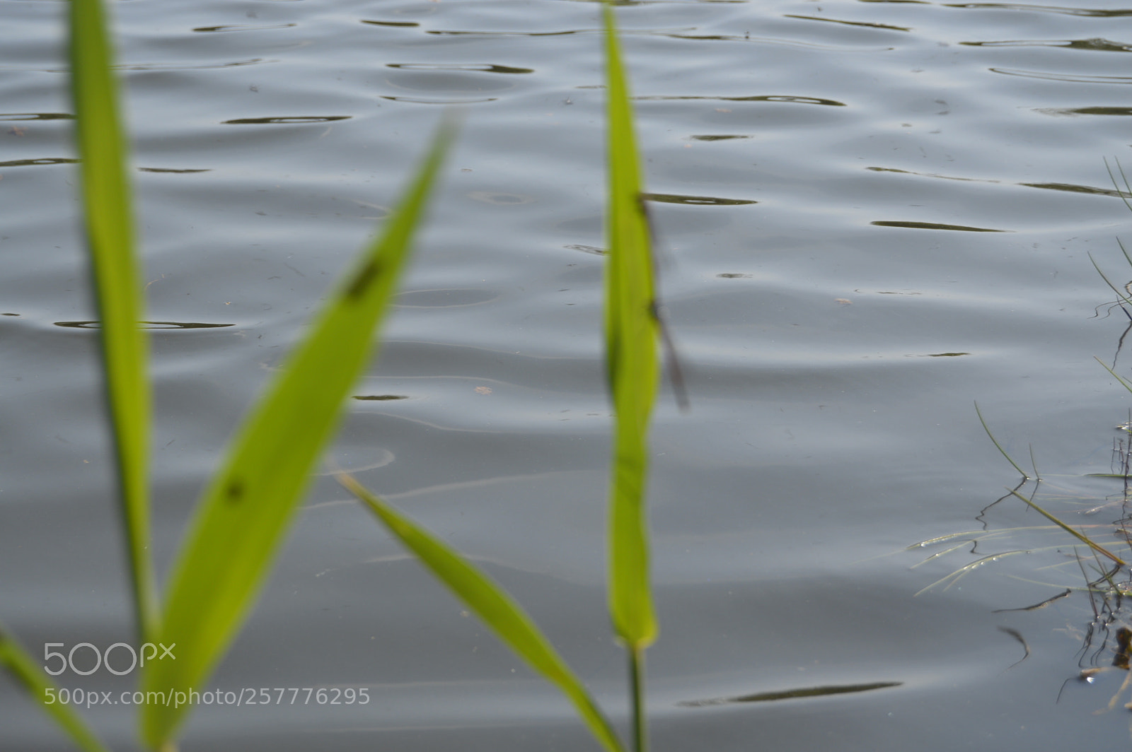 Nikon D3200 sample photo. Put & take photography