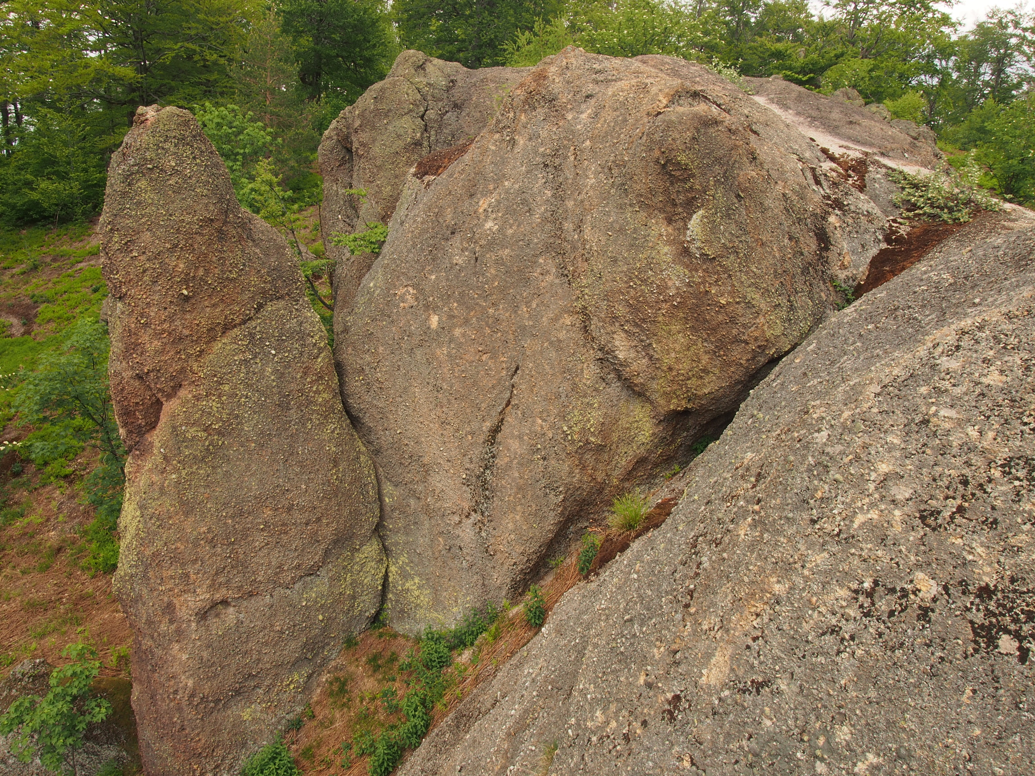 Olympus PEN E-PL5 sample photo. Written in stones photography