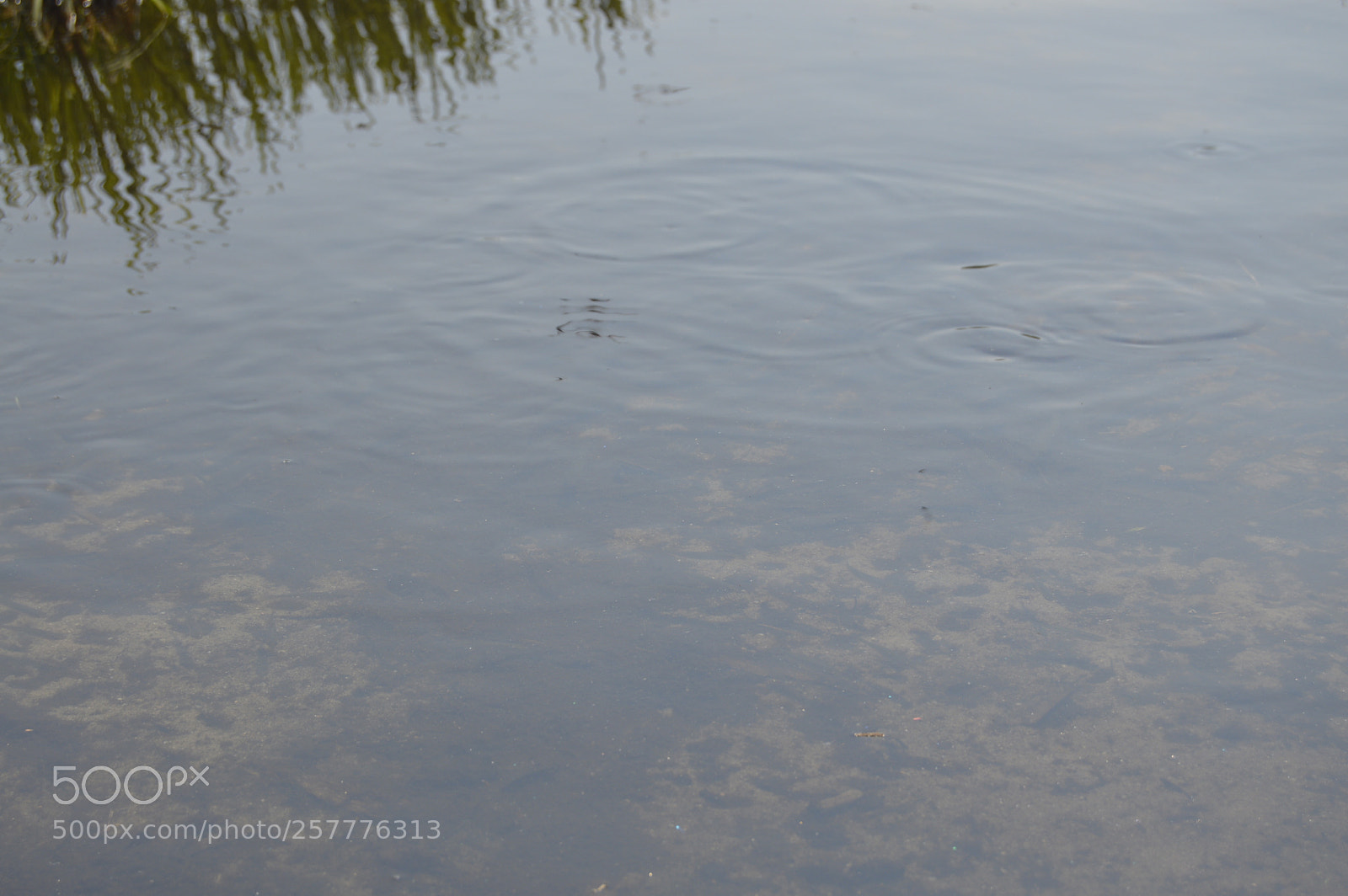 Nikon D3200 sample photo. Put & take photography