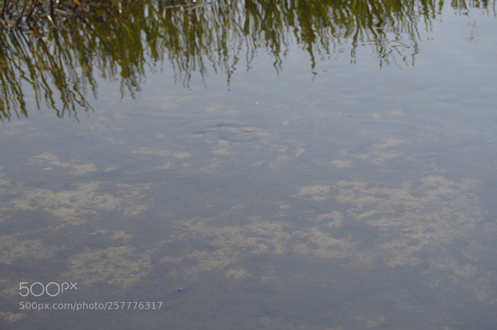 Nikon D3200 sample photo. Put & take photography