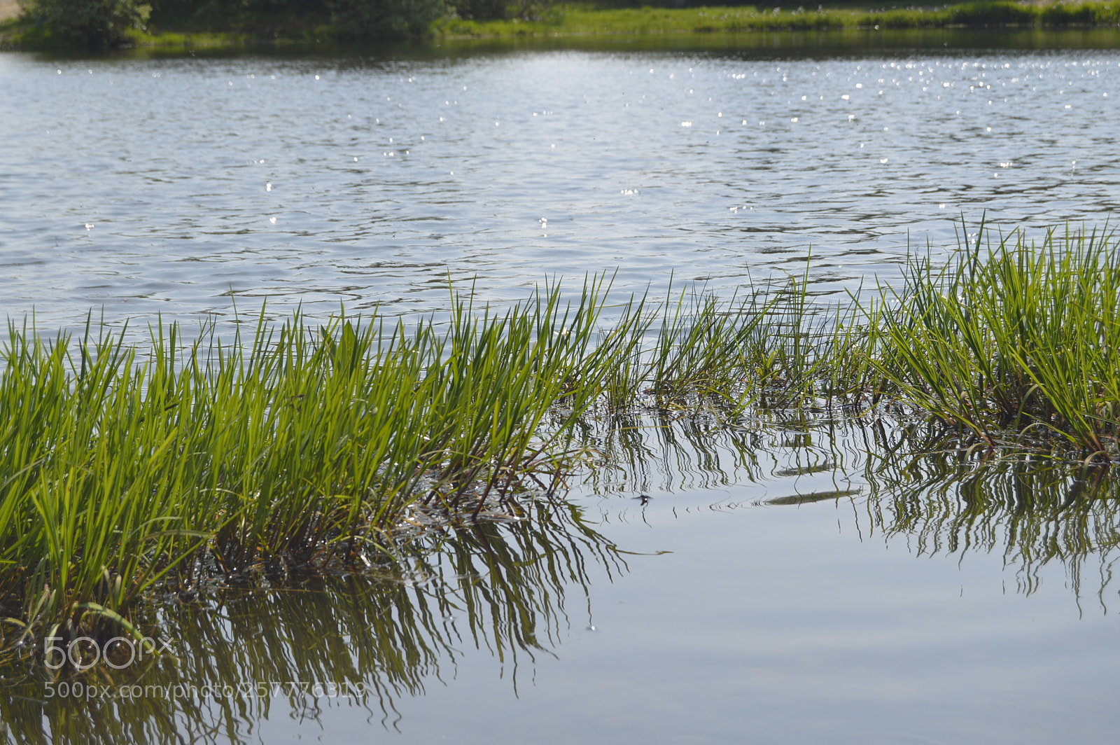 Nikon D3200 sample photo. Put & take photography