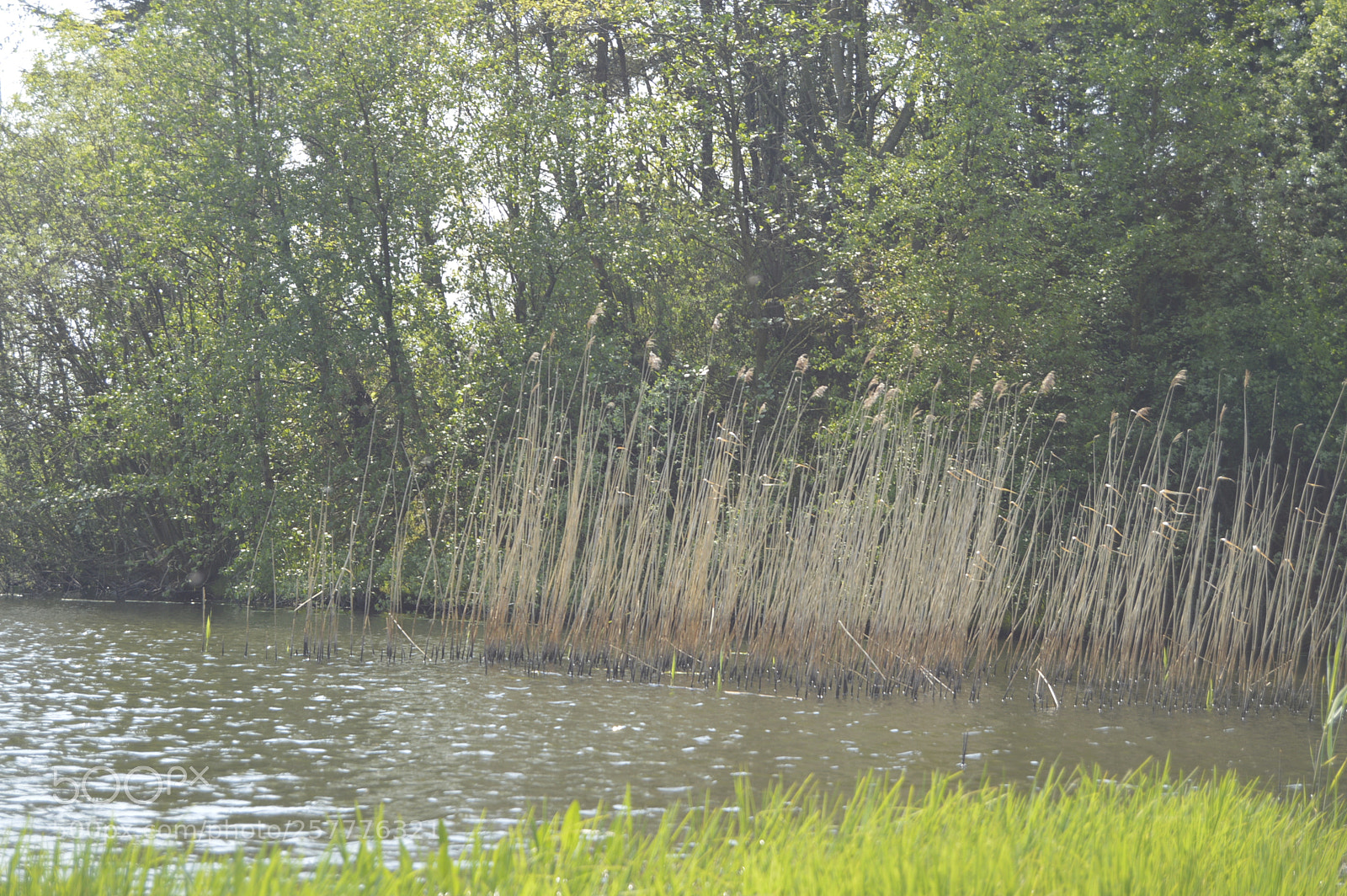 Nikon D3200 sample photo. Put & take photography