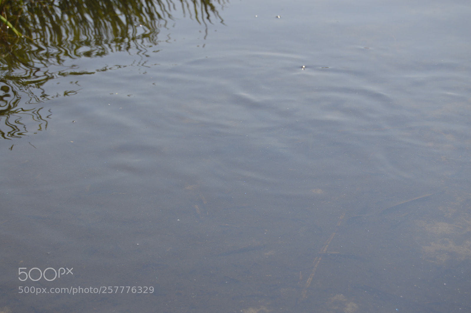 Nikon D3200 sample photo. Put & take photography