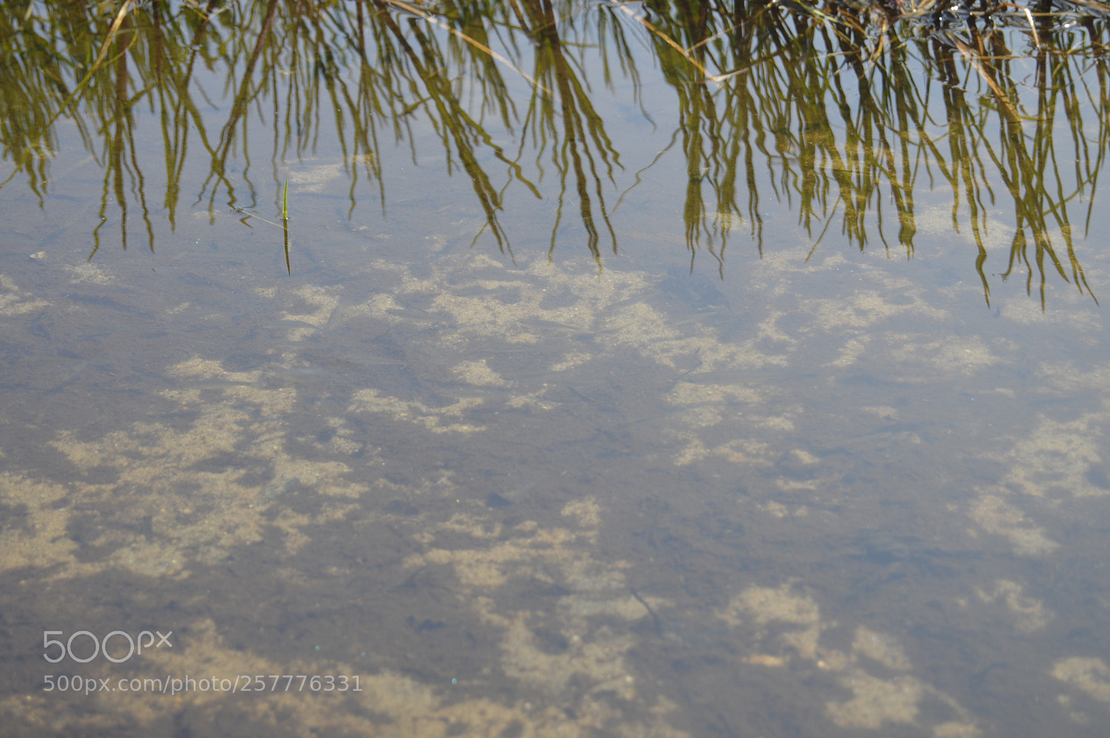 Nikon D3200 sample photo. Put & take photography