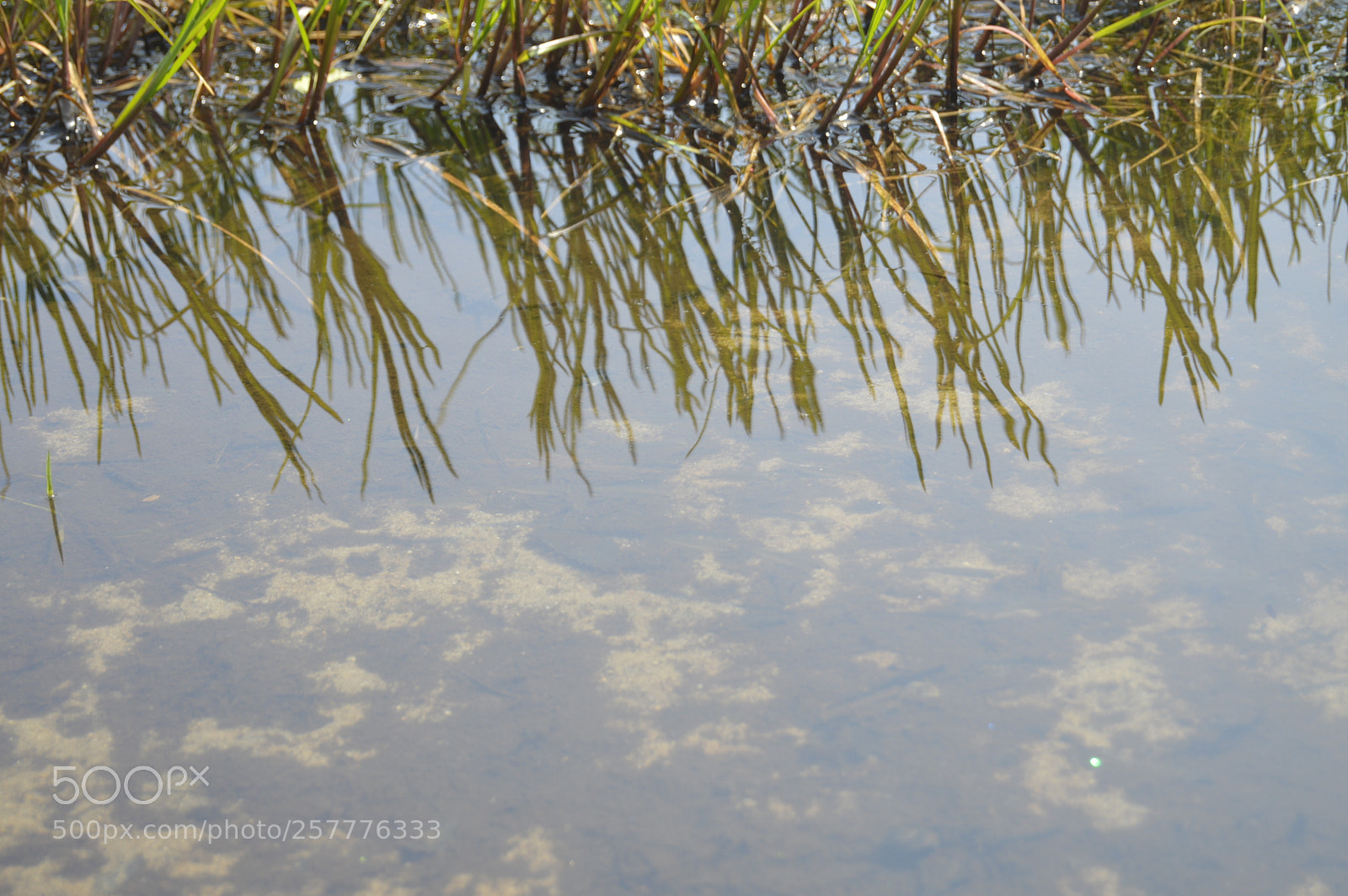 Nikon D3200 sample photo. Put & take photography