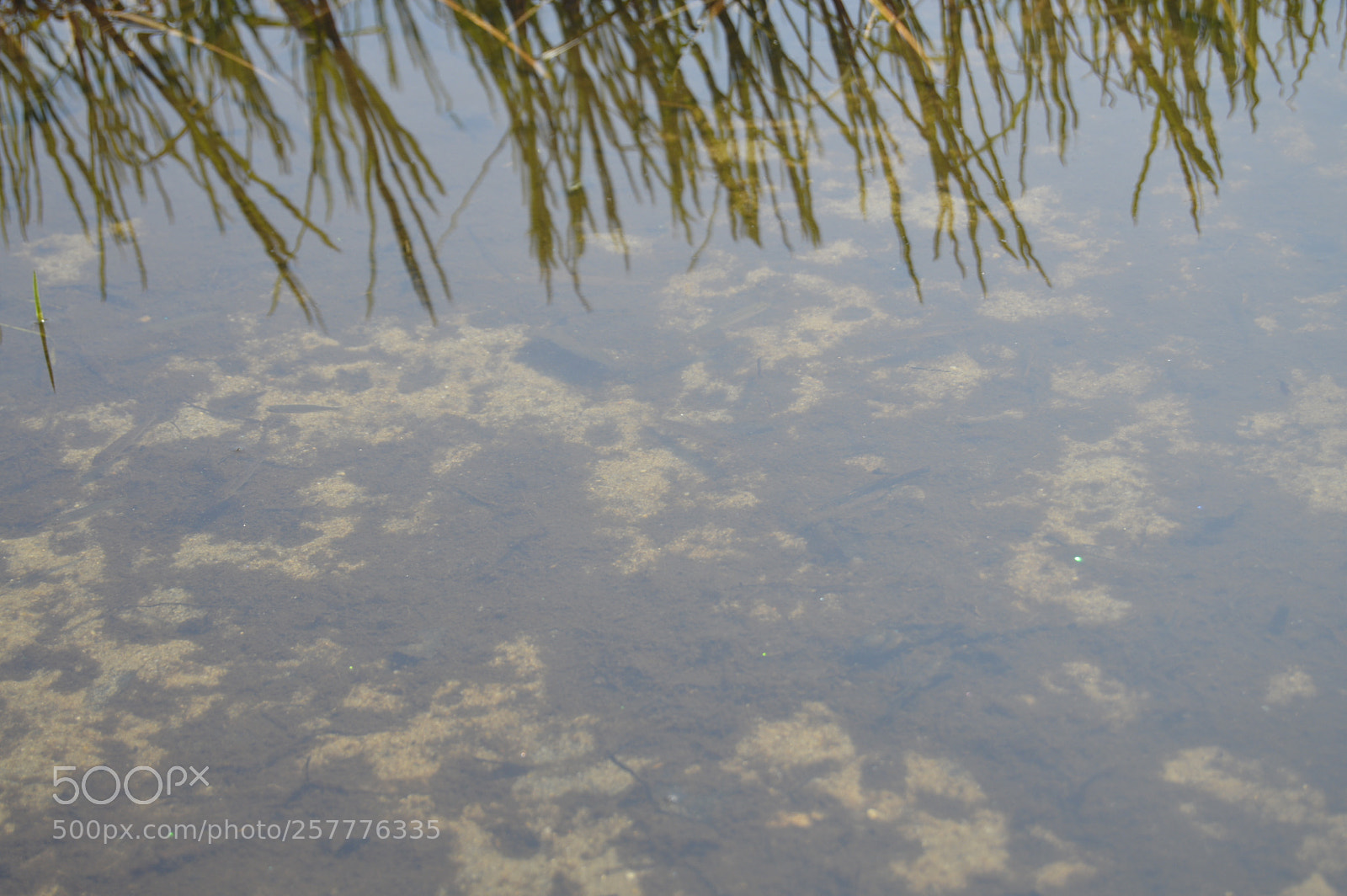 Nikon D3200 sample photo. Put & take photography